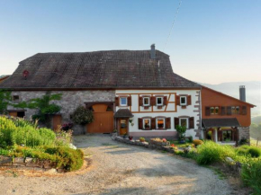 Maison pittoresque à Sainte-Croix-aux-Mines, vue sur la montagne